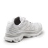 Кроссовки Salomon XT-6 GTX